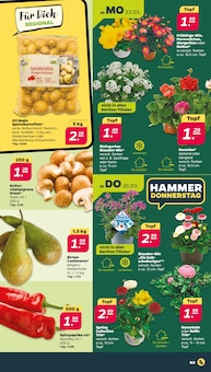 Kartoffeln im aktuellen Netto mit dem Scottie Prospekt (Chemnitz) Kartoffeln im Netto mit dem Scottie Prospekt "Günstig. Besser. Für Dich." mit 41 Seiten (Chemnitz)