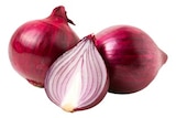 Rote Bio Speisezwiebeln von REWE für 0,99 € bei REWE im Angebot Rote Bio Speisezwiebeln von REWE im aktuellen REWE Prospekt