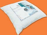 Oreiller Gerard Pasquier - DecilleHome en promo à 5,99 € chez Netto Oreiller Gerard Pasquier - DecilleHome dans le catalogue Netto