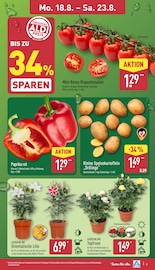 Aktueller ALDI Nord Prospekt mit Kartoffeln, "Aktuelle Angebote", Seite 3