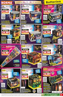 Blumen im Norma Prospekt "Mehr fürs Geld" mit 22 Seiten (Magdeburg)