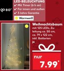 Weihnachtsbaum Angebote von BO bei Kaufland Bückeburg für 7,99 €