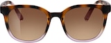 Sonnenbrille Erwachsene schwarz-braun-rosa Gestell, braun getönte Gläser von SUNDANCE für 12,95 € bei dm-drogerie markt im Angebot Sonnenbrille Erwachsene schwarz-braun-rosa Gestell, braun getönte Gläser von SUNDANCE im aktuellen dm-drogerie markt Prospekt