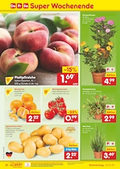 Kartoffeln im Netto Marken-Discount Prospekt in Leinfelden-Echterdingen Aktueller Netto Marken-Discount Prospekt mit Kartoffeln, "Aktuelle Angebote", Seite 46