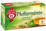 Kräutertee Pfefferminze im Angebot bei REWE in Lünen Kräutertee Pfefferminze Angebote von Teekanne bei REWE Lünen für 1,59 €