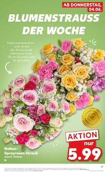 Blumen im Kaufland Prospekt "Hier bin ich richtig" mit 62 Seiten (Bremen)