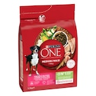 Croquettes pour chiens - ONE - Carrefour à Mulhouse Croquettes pour chiens - ONE en promo chez Carrefour Mulhouse à 8,90 €