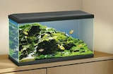Aquarium Aqua 60 LED im Angebot bei Hellweg in Hemer Aquarium Aqua 60 LED Angebote bei Hellweg Hemer für 69,99 €