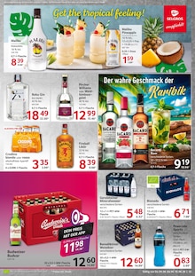 Bacardi im aktuellen Selgros Prospekt (Bottrop) Bacardi im Selgros Prospekt "HIER KAUFEN PROFIS & GENIESSER" mit 24 Seiten (Bottrop)