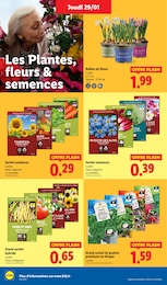 Offre Potager dans le catalogue Lidl du moment à la page 28