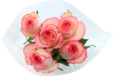 BOUQUET 5 ROSES TRÈS GROS BOUTONS - SANS MARQUE en promo à 5,49 € chez Auchan Hypermarché BOUQUET 5 ROSES TRÈS GROS BOUTONS - SANS MARQUE dans le catalogue Auchan Hypermarché
