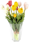 Aktuelle Tulpen Angebote bei Thomas Philipps in Nürnberg Aktuelles Tulpenstrauß Angebot bei Thomas Philipps in Nürnberg ab 3,99 €