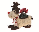 Sisal-Rentier im Angebot bei Lidl in Ulm Sisal-Rentier Angebote bei Lidl Ulm für 9,99 €