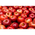 Pomme Gala FILIÈRE QUALITÉ CARREFOUR dans le catalogue Carrefour