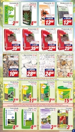 Steine im CENTERSHOP Prospekt in Gladbeck Aktueller CENTERSHOP Prospekt mit Steine, "Da geht was.", Seite 3