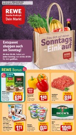 Aktueller REWE Supermarkt Prospekt in Bad Laer und Umgebung, "Dein Markt" mit 34 Seiten, 23.06.2025 - 28.06.2025