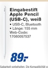 Eingabestift Apple Pencil (USB-C), weiß Angebote von Apple bei expert Reutlingen für 89,00 €