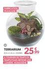 Truffaut Saint-Fargeau-Ponthierry - Promo TERRARIUM Promo TERRARIUM à 25,99 € dans le catalogue Truffaut à Saint-Fargeau-Ponthierry
