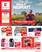 Aktueller Kaufland Supermarkt Prospekt in Bingen und Umgebung, "Aktuelle Angebote" mit 56 Seiten, 19.06.2025 - 25.06.2025