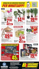 Aktueller B1 Discount Baumarkt Prospekt mit Palme, "BESTPREISE DER WOCHE!", Seite 8