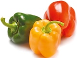 Paprika-Mix bei Netto mit dem Scottie im Teltow Prospekt für 1,69 €
