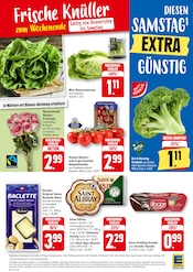 Aktueller EDEKA Prospekt mit Blumen, "Aktuelle Angebote", Seite 16