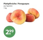 Plattpfirsiche / Paraguayos im V-Markt Prospekt Plattpfirsiche / Paraguayos von im aktuellen V-Markt Prospekt für 2,99 €