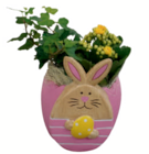 Aktuelles Bepflanzte Gefäße „Osterhase“ Angebot bei toom Baumarkt in Bergisch Gladbach ab 9,99 €
