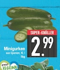 Minigurken von  im aktuellen EDEKA Prospekt für 2,99 €