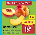 ALDI Nord Potsdam - Nektarinen Angebot im Prospekt Nektarinen bei ALDI Nord im Potsdam Prospekt für 1,49 €