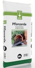 Aktuelles Pflanzerde Angebot bei Kiebitzmarkt in Cottbus ab 6,99 €