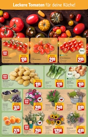 Blumen im REWE Prospekt in Hanau Aktueller REWE Prospekt mit Blumen, "Dein Markt", Seite 7