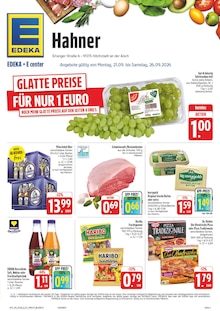 EDEKA Prospekt Wir lieben Lebensmittel! mit  Seiten in Lonnerstadt und Umgebung
