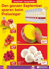 Mango im Netto Marken-Discount Prospekt in Bautzen Aktueller Netto Marken-Discount Prospekt mit Mango, "Aktuelle Angebote", Seite 14