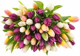 Tulpen bei Penny-Markt im Rehlingen-Siersburg Prospekt für 3,33 €