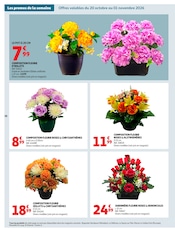 Promos Fleurs dans le catalogue "BIEN AU CHAUD" de Auchan Hypermarché Fleurs en promo dans le catalogue Auchan Hypermarché à la page 58