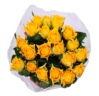 Rosen im Angebot bei EDEKA in Neumünster Rosen Angebote bei EDEKA Neumünster für 3,99 €