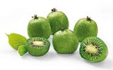 Kiwibeeren im Angebot bei REWE in Esslingen Kiwibeeren Angebote von Nergi bei REWE Esslingen für 1,99 €