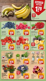 Blumen im REWE Prospekt in Halberstadt Aktueller REWE Prospekt mit Blumen, "Dein Markt", Seite 9