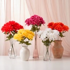 Piquet chrysanthèmes en promo chez Gifi Piquet chrysanthèmes dans le catalogue Gifi