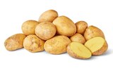 Bio-Kartoffeln bei Penny im Wiederstedt Prospekt für 1,79 €