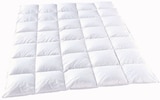 Steppbett im Angebot bei ROLLER in Esslingen Steppbett Angebote bei ROLLER Esslingen für 29,99 €