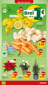 Pflanzen im Penny Prospekt "Wer günstig will, muss Penny." mit 56 Seiten (Heidelberg)