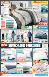 Sonnensegel im Norma Prospekt in Oranienburg Aktueller Norma Prospekt mit Sonnensegel, "Mehr fürs Geld", Seite 2