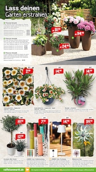 Blumentopf im Raiffeisenmarkt Prospekt "Wir leben Nähe" mit 16 Seiten (Recklinghausen)