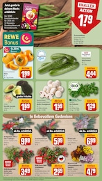 REWE Gurken im Prospekt REWE Gurken im Prospekt