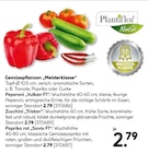 Peperoni Vulkan F1 Angebote von Plantiflor bei Hellweg Siegen für 2,79 €