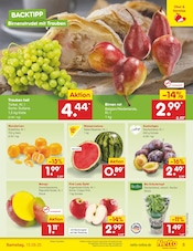 Mango im Netto Marken-Discount Prospekt in Detmold Aktueller Netto Marken-Discount Prospekt mit Mango, "Aktuelle Angebote", Seite 5