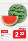 Wassermelonen Mini im aktuellen Prospekt bei Markant Nordwest in Langeoog