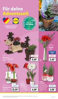 Weihnachtsdeko im Lidl Prospekt "LIDL LOHNT SICH" mit 29 Seiten (Aachen)